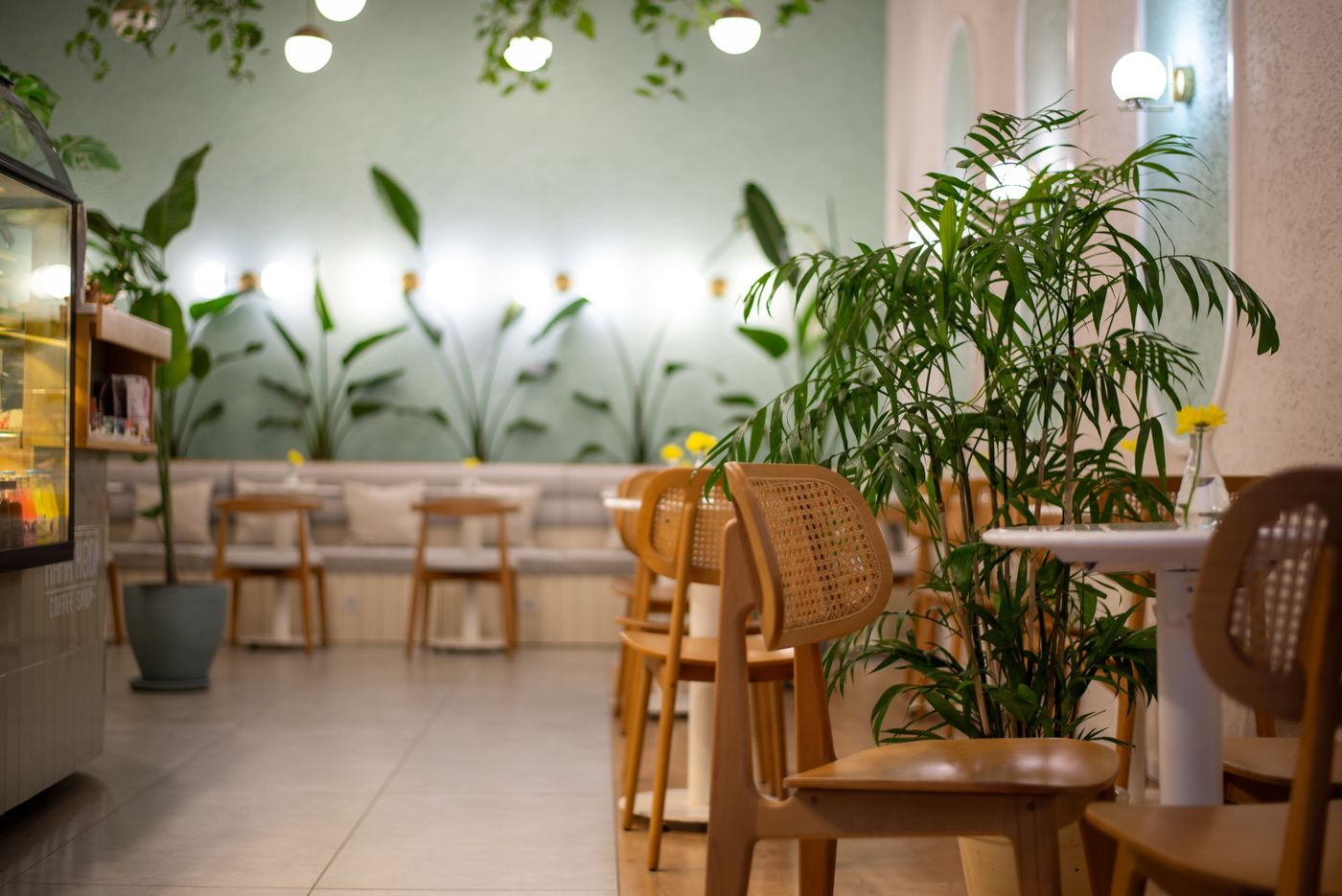 Cafe Lumière